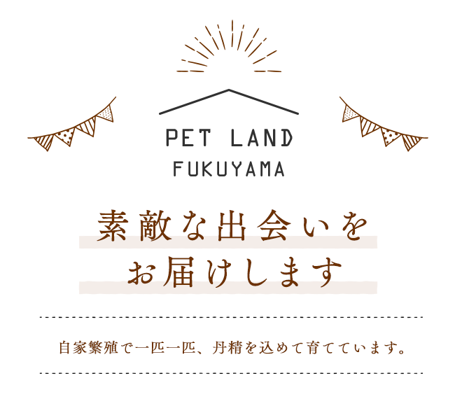 ペットランド福山