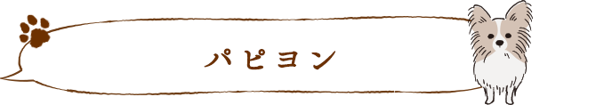 パピヨン